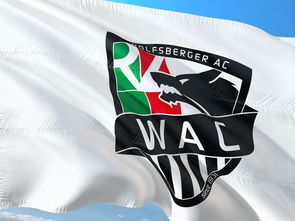 九游官网入口地址-“腰旗橄榄球:东部新区赛场充满热血与战术” 第2张